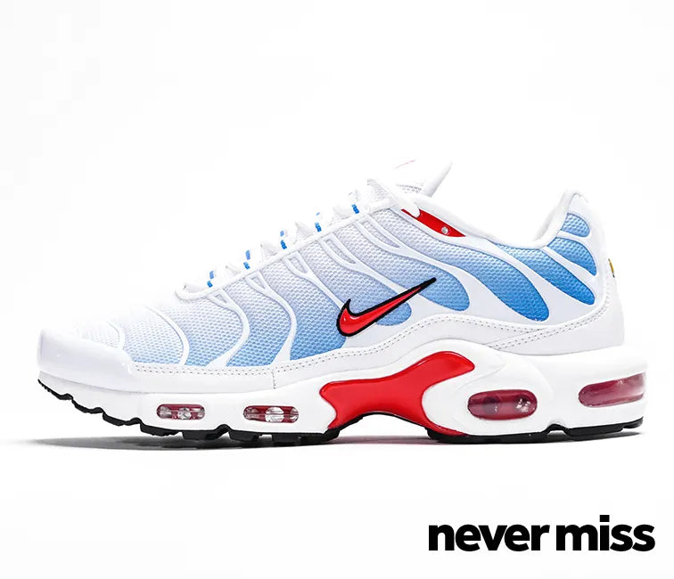 Men's Nike Air Max Plus Tn 'Tide'